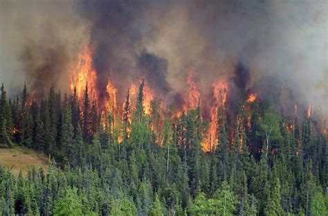 Los incendios forestales de Canadá ponen a casi 60 millones de residentes de EE.UU. bajo alertas de calidad del aire